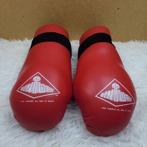 Century Red Sparring Gloves- Size Small